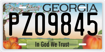 GA license plate PZO9845