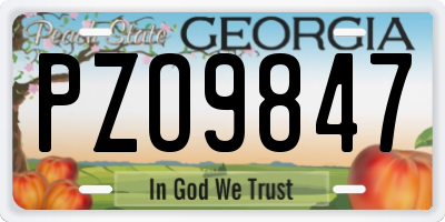 GA license plate PZO9847