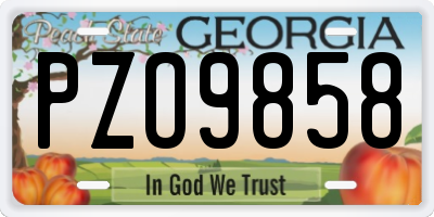 GA license plate PZO9858