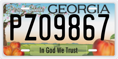 GA license plate PZO9867