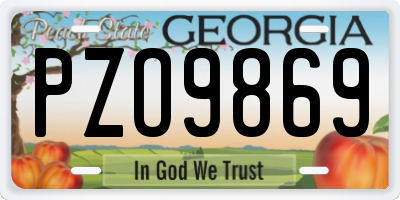 GA license plate PZO9869