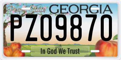 GA license plate PZO9870