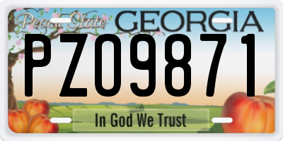 GA license plate PZO9871
