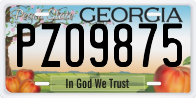 GA license plate PZO9875
