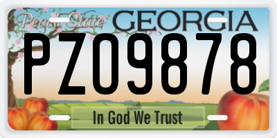 GA license plate PZO9878