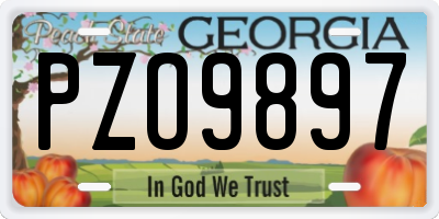 GA license plate PZO9897