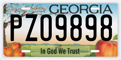 GA license plate PZO9898