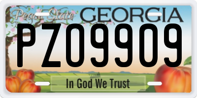 GA license plate PZO9909