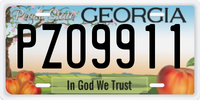 GA license plate PZO9911