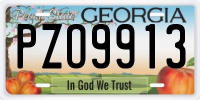 GA license plate PZO9913