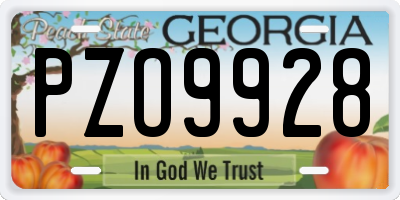 GA license plate PZO9928