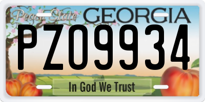 GA license plate PZO9934