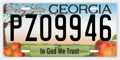 GA license plate PZO9946