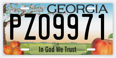 GA license plate PZO9971