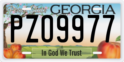 GA license plate PZO9977