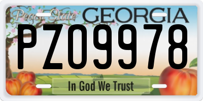 GA license plate PZO9978