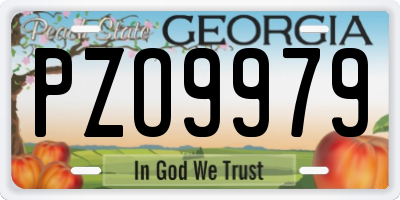 GA license plate PZO9979