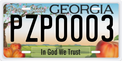 GA license plate PZP0003