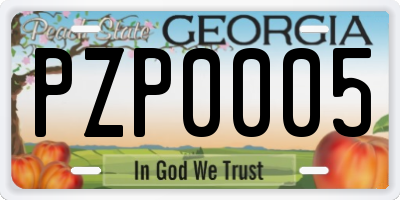 GA license plate PZP0005