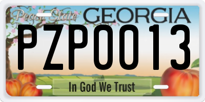 GA license plate PZP0013