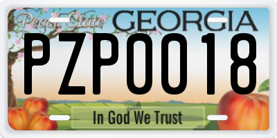 GA license plate PZP0018