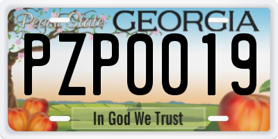 GA license plate PZP0019