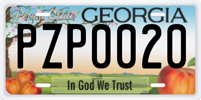 GA license plate PZP0020