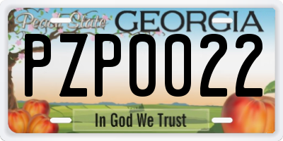GA license plate PZP0022