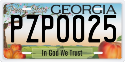 GA license plate PZP0025