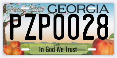 GA license plate PZP0028