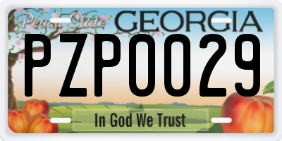 GA license plate PZP0029