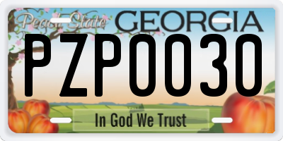 GA license plate PZP0030