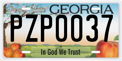 GA license plate PZP0037