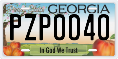 GA license plate PZP0040
