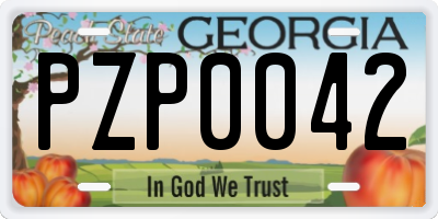 GA license plate PZP0042