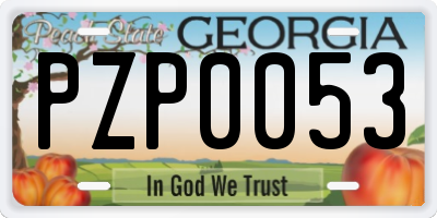 GA license plate PZP0053