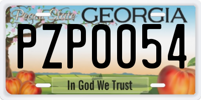 GA license plate PZP0054