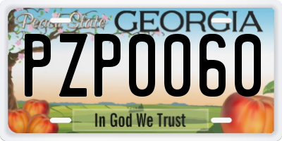 GA license plate PZP0060
