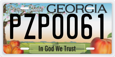 GA license plate PZP0061