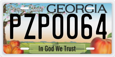 GA license plate PZP0064