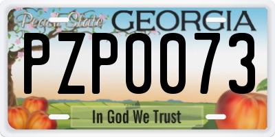 GA license plate PZP0073