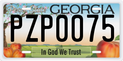 GA license plate PZP0075