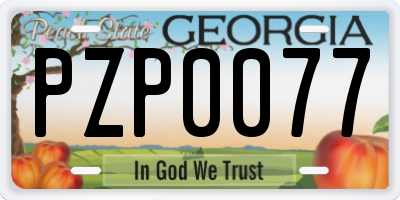 GA license plate PZP0077