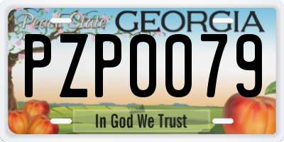 GA license plate PZP0079