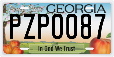 GA license plate PZP0087