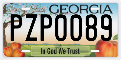 GA license plate PZP0089