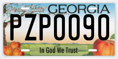 GA license plate PZP0090