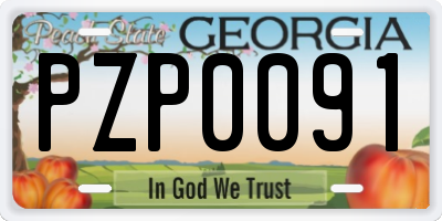 GA license plate PZP0091