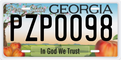 GA license plate PZP0098