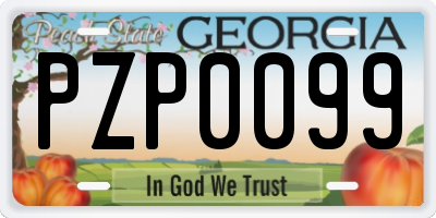 GA license plate PZP0099